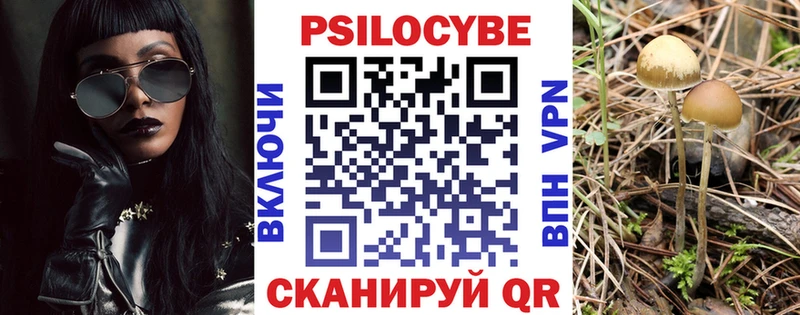 продажа наркотиков  Почеп  Галлюциногенные грибы MAGIC MUSHROOMS 