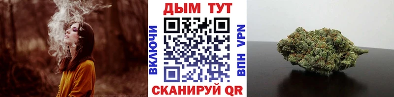 MEGA зеркало  Почеп  Бошки Шишки планчик 